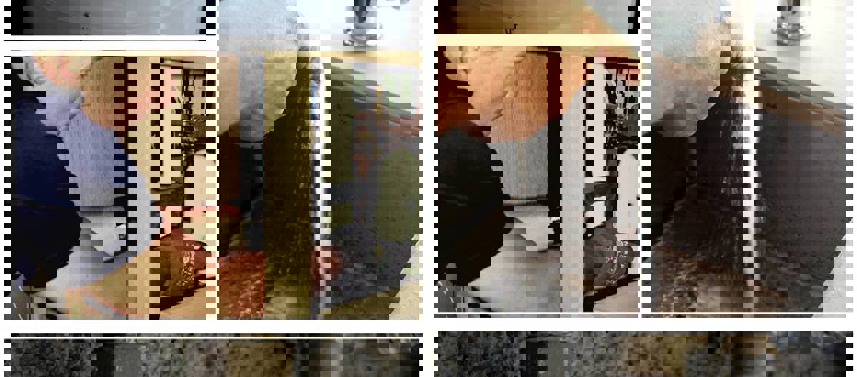 Gråvannsgjennvinner. Foto: Bjørge Sandberg-Kristoffersen 