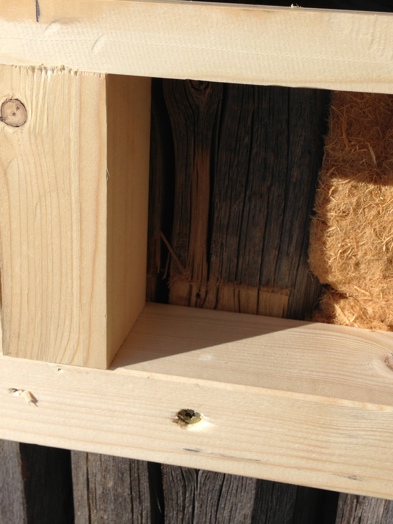 Detalj som viser utfylling av tommerprofilet Lett å fylle ut slik at treullen fester i profilet.jpg Detalj som viser utfylling av tommerprofilet Lett å fylle ut slik at treullen fester i profilet.jpg