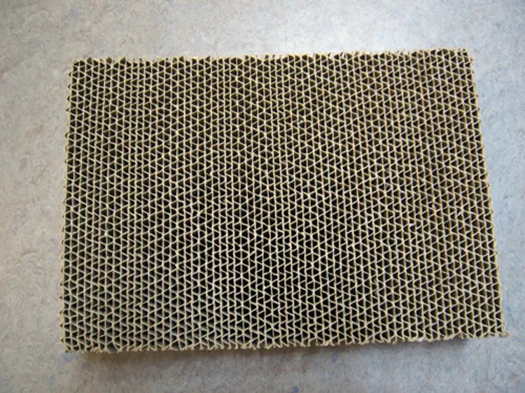 Bølgepapp. Foto: Varis Bokalders