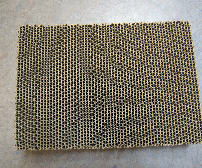 Bølgepapp. Foto: Varis Bokalders