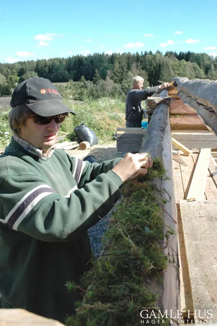 Isolering med mose. Foto: K. M. Frøyset/ Gamle Hus Hager & Interiør
