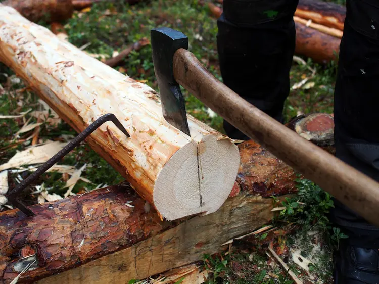Man hugger langs midten på stokken til den er "dau" og spenningene slipper. Først da er det klart for å slå i kiler. Foto: Åge Emil Bergquist