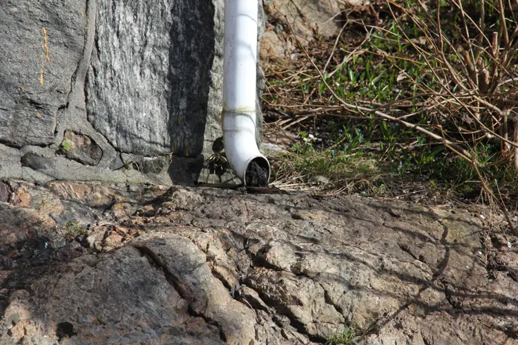 Takrenner og nedløp vedlikeholder ikke seg selv. Enkle tiltak kan spare huseier for mange senere frustrasjoner. Foto: Bygg og Bevar