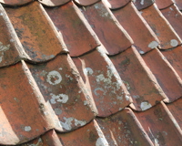 Lav og algevekst trenger ikke å være skadelig for taket. Foto: Bygg og Bevar