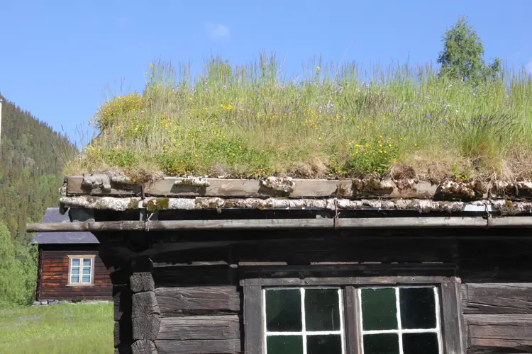 Torvtak-paa-Valdresmusea.-Foto:-Bygg-og-Bevar