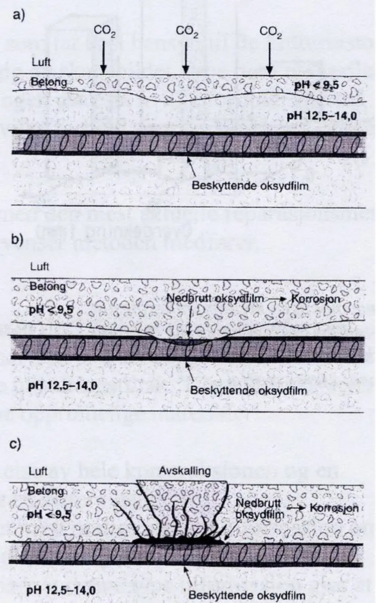 Illustrasjon-av-karbonatisering.i-armert-betong-Ill:-Ukjent