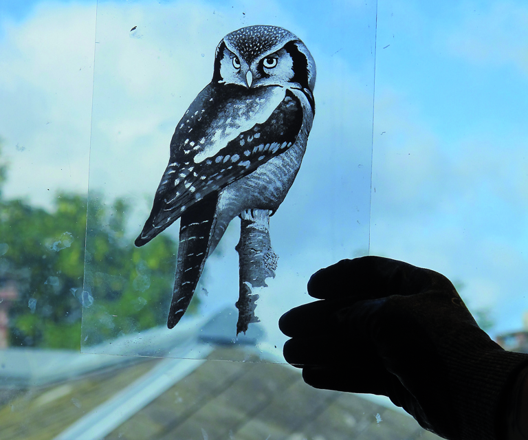 Formgivnings- og tegneegenskaper kommer godt med for en blyglasshåndverker. Denne uglen er malt på glass av Kent I Hovelsen