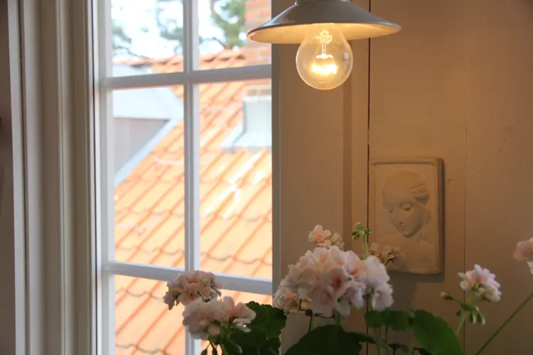 Pelargonia-i-et-gammelt-interioer.-Foto:-Bygg-og-Bevar