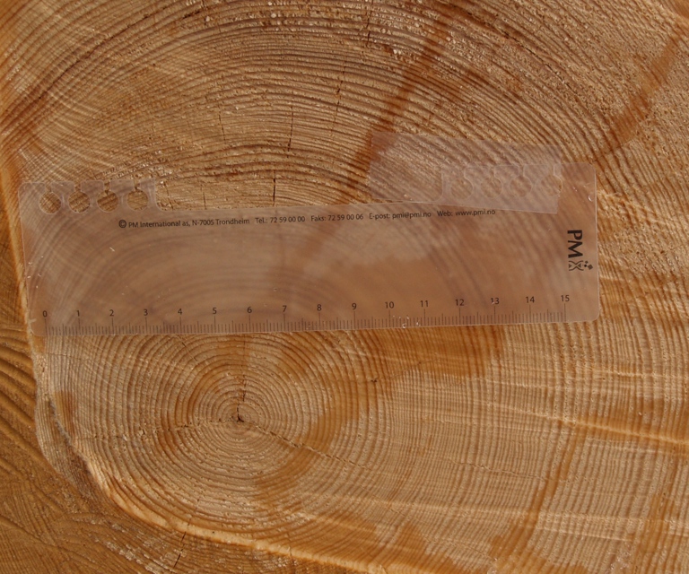 TettvTreapril2009 003.jpg