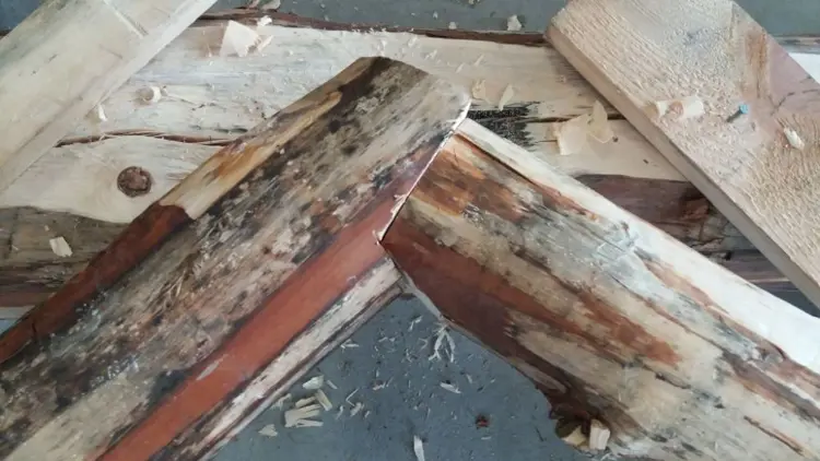 løsring klauv og tapp.jpg