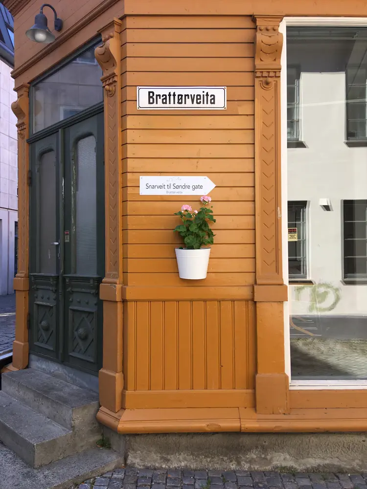 Snarveitskilt blomster juni2018