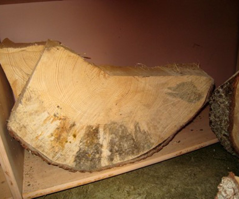 Lagringsskade.-Foto-Peder-Gjerdrum