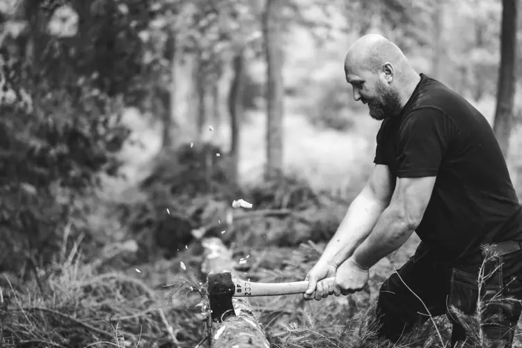 Toemmeret hugges i naerheten