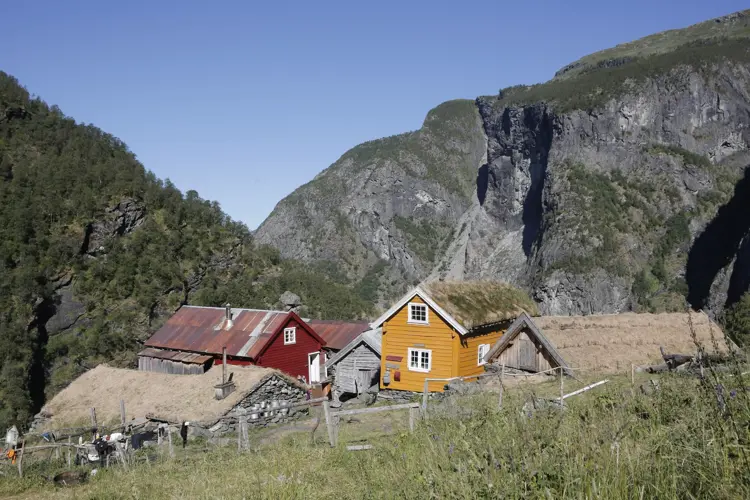 Fjellgarden Sinjarheim (1)