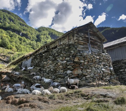 Tørrmuren på Sinjarheim.jpg