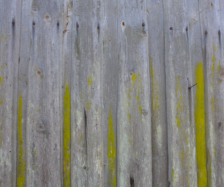 Utvendig-kledning-med-begroing-av-mose-Foto:-Bygg-og-Bevar