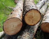 Toemmer-av-gran-i-ulike-kvaliteter.-Foto:-Bygg-og-Bevar