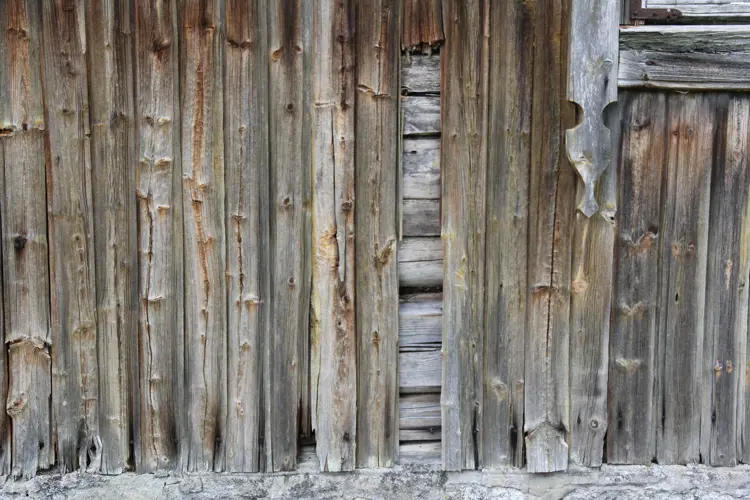 Raateskader-paa-grunn-av-fukt.-Foto:-Bygg-og-Bevar