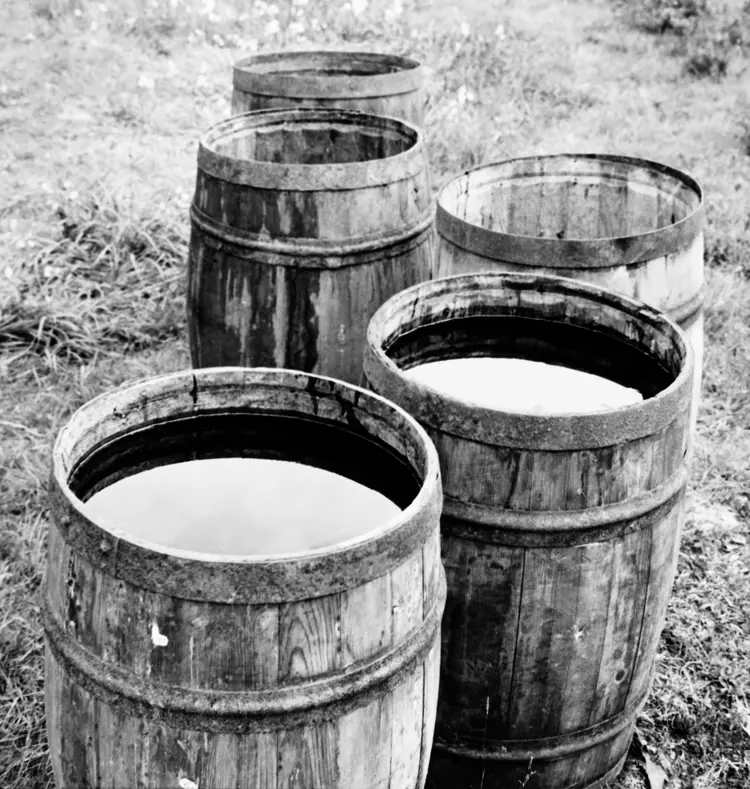 Foto Tore Fossum Anno Norsk Skogsbruksmuseum.jpg