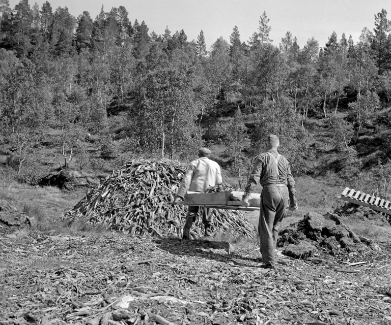 Foto Tore Fossum Anno Norsk Skogsbruksmuseum2.jpg