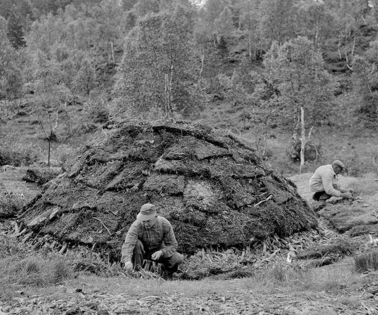 Foto Tore Fossum Anno Norsk Skogsbruksmuseum4.jpg
