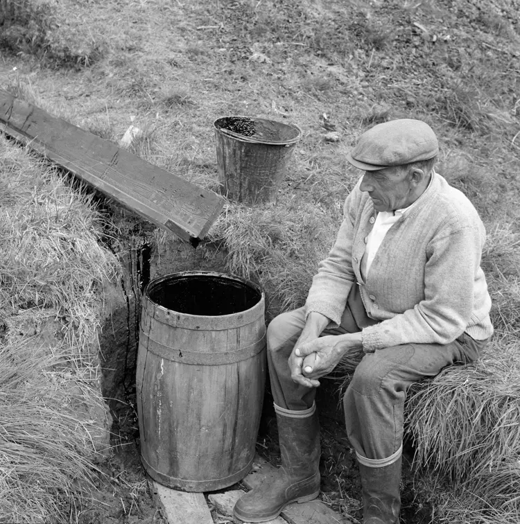 Foto Tore Fossum Anno Norsk Skogsbruksmuseum8.jpg