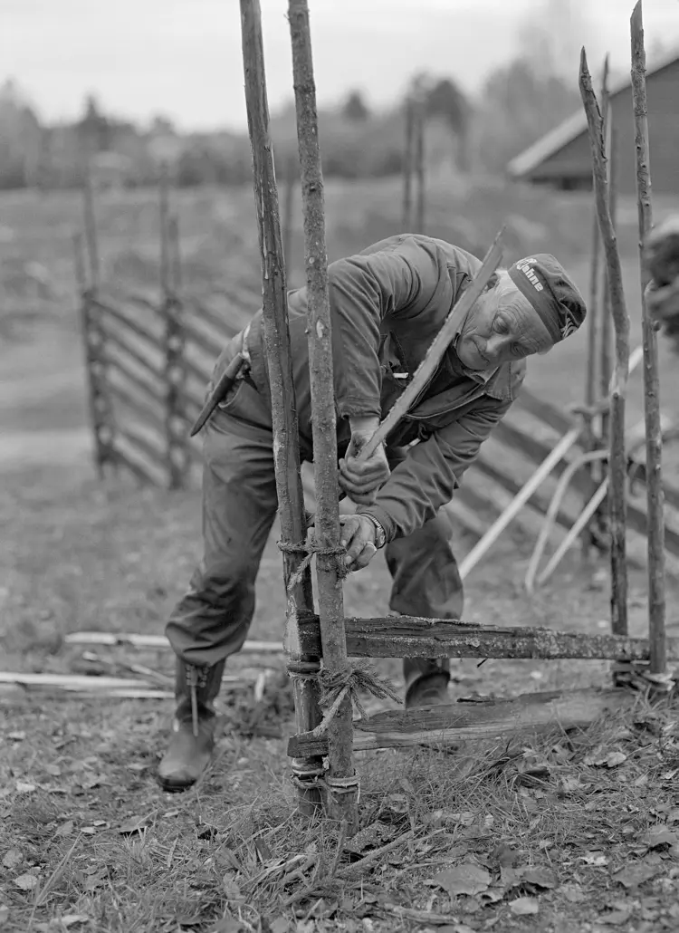 bilde 2 Ole-Thorstein Ljøstad Anno Norsk skogbruksmuseum.jpg