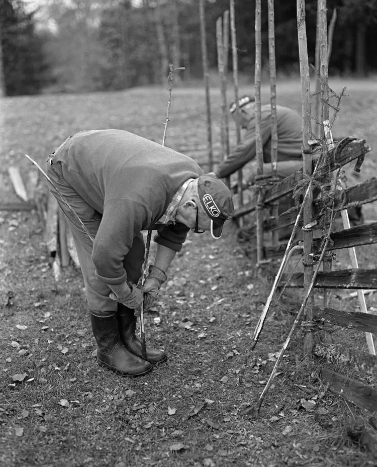 bilde 3 Ole-Thorstein Ljøstad Anno Norsk skogbruksmuseum.jpg
