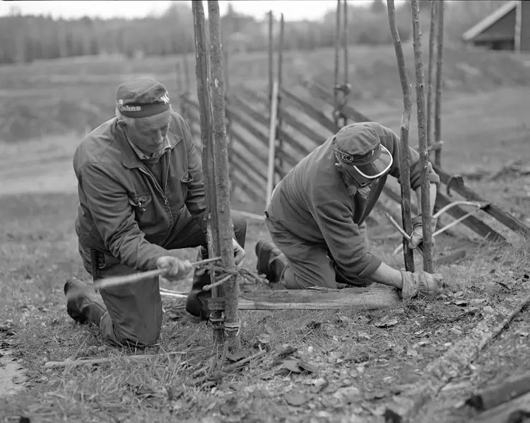 Bilde 5 Ole-Thorstein Ljøstad Anno Norsk Skogbruksmuseum.jpg
