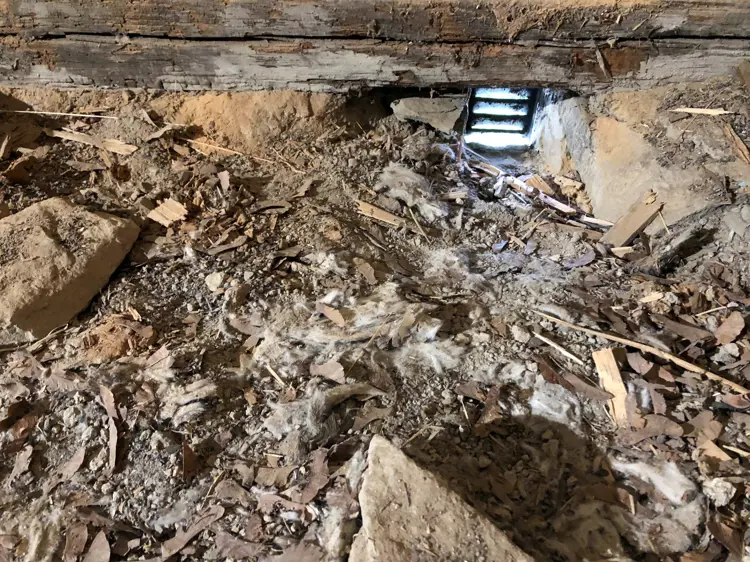 Ekte hussopp under gulvet