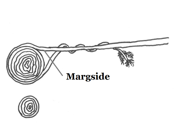 surring av gransvei.png