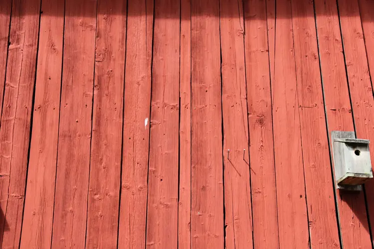 Komposisjonsmaling-paa-uthusvegg.-Foto-Bygg-og-Bevar