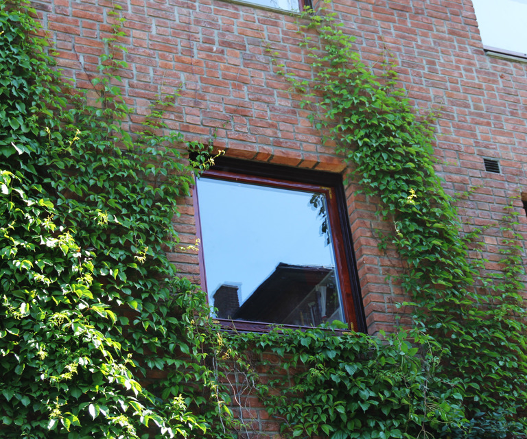 Ingar Nilsens vei.JPG