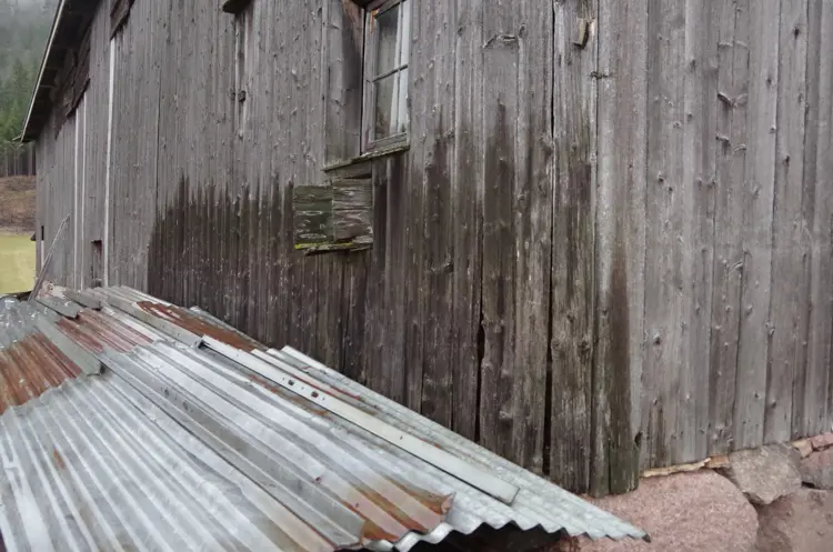 Fuktskader på gammel låvekledning foto Per Øyvind Berg