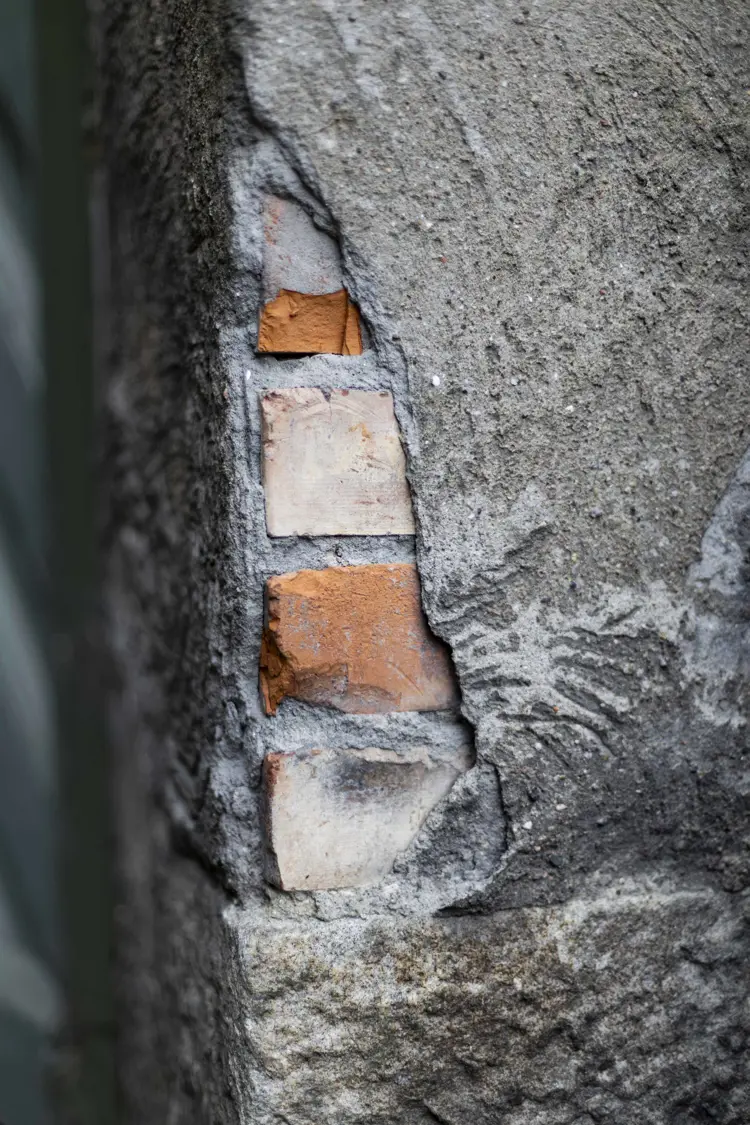 2025 Bygg Og Bevar Veterenærhøgskolen 27