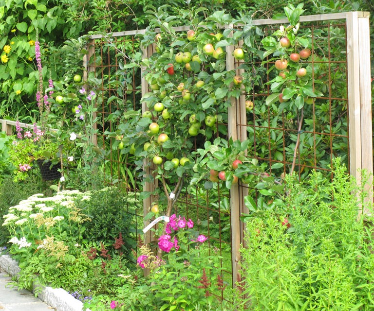 Kjoekkenhage-i-trekasser.-Foto:-Knut-Langeland