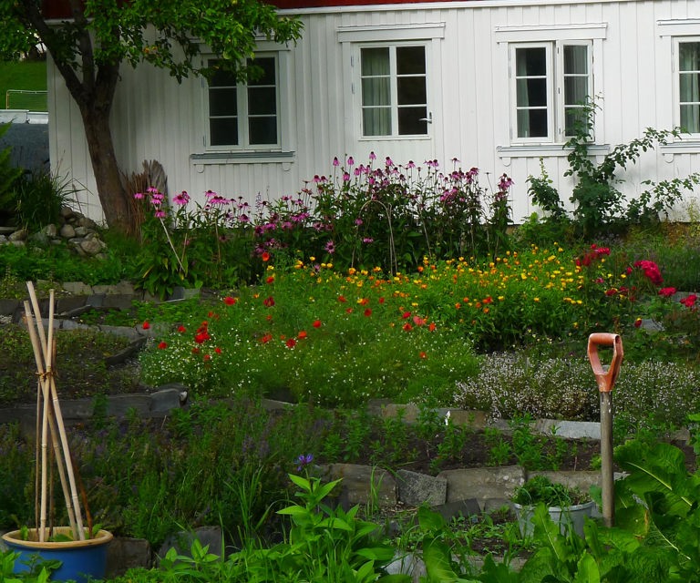 En-beplantet-skraaning-ved-husvegg.-Foto:-Knut-Langeland