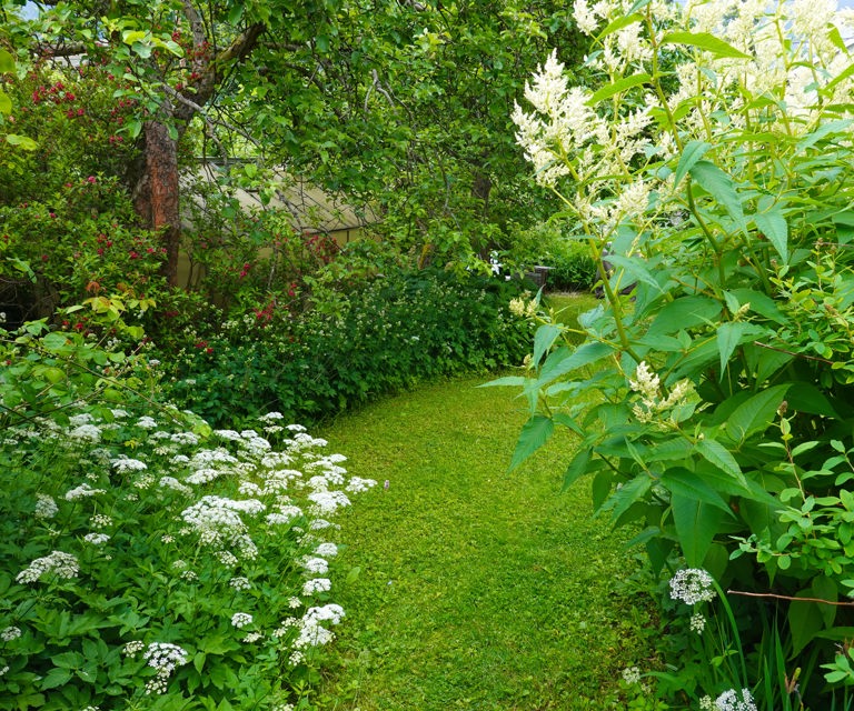 Det-er-vi-selv-bestemmer-hva-som-er-stygt.-Foto:-Knut-Langeland