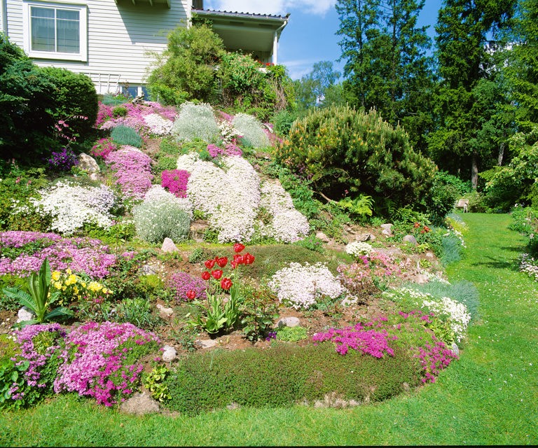 Typisk-hage-med-inspirasjon-fra-1950-tallet.-Foto:-Knut-Langeland